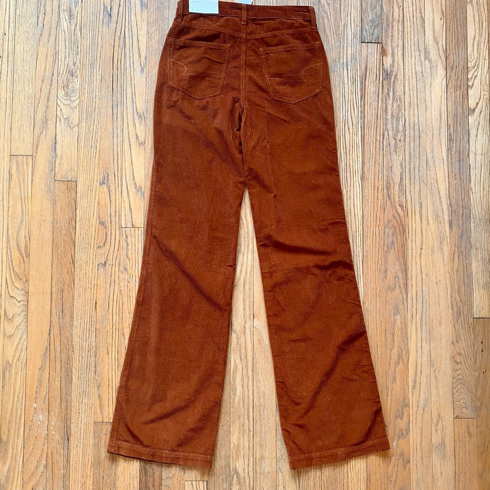 AE 70s style corduroy wide-leg pants in rust color